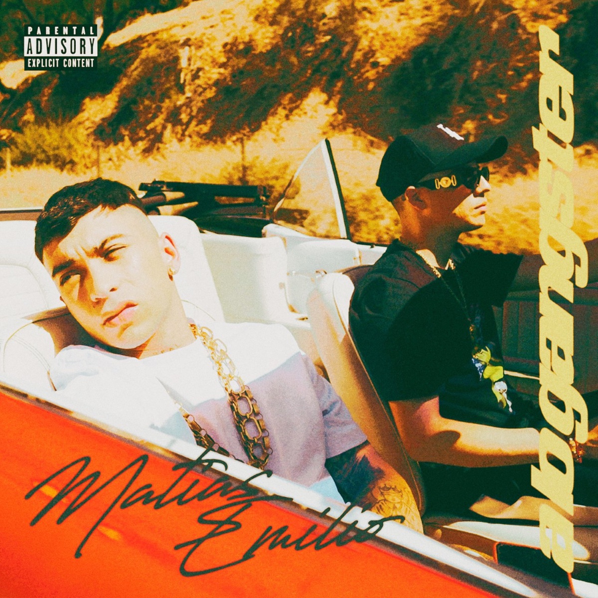 A Lo Gangster - Single by Matias Emilio, Pablito Pesadilla & elgaboaraya album cover