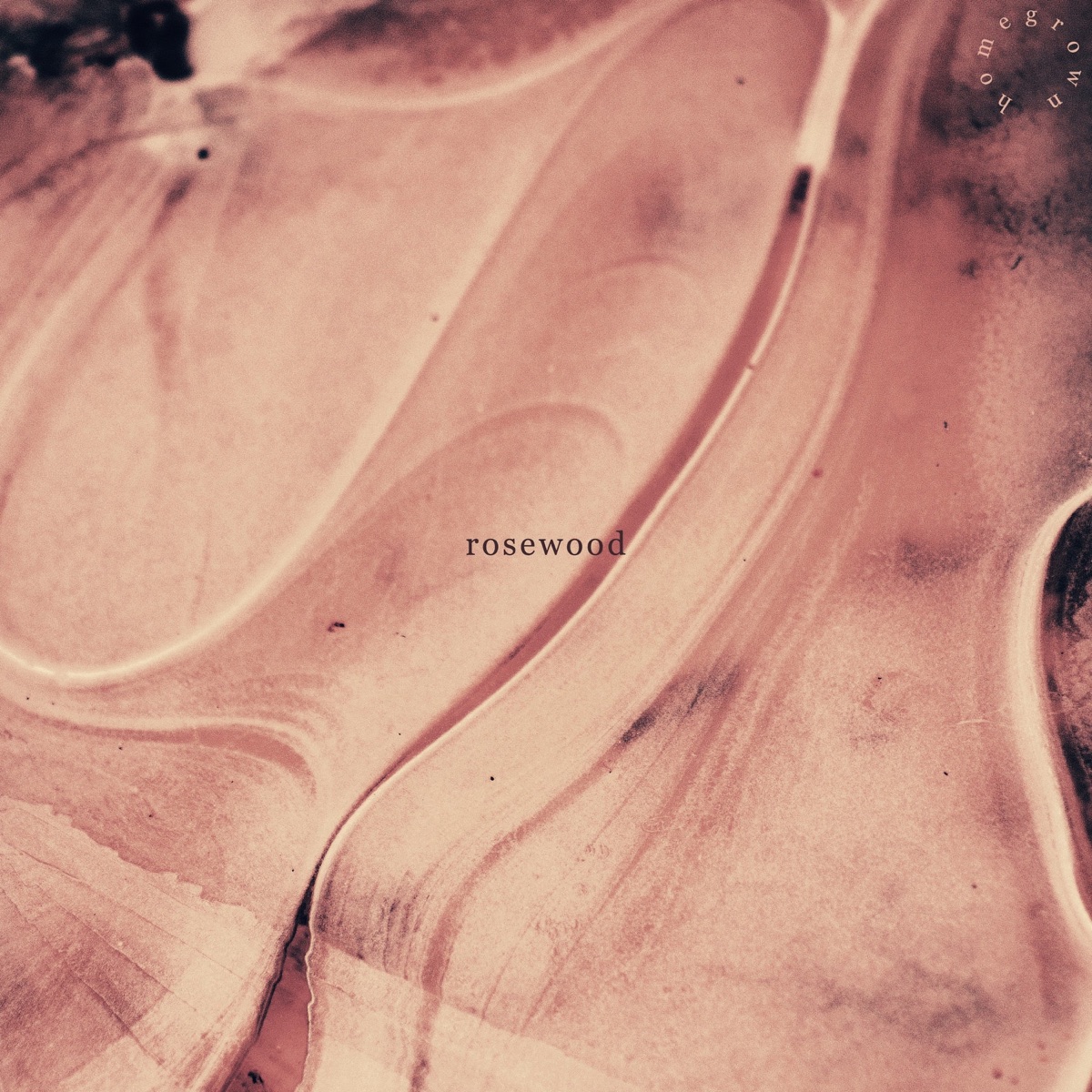 Rosewood - Single by Homson & franz. album cover