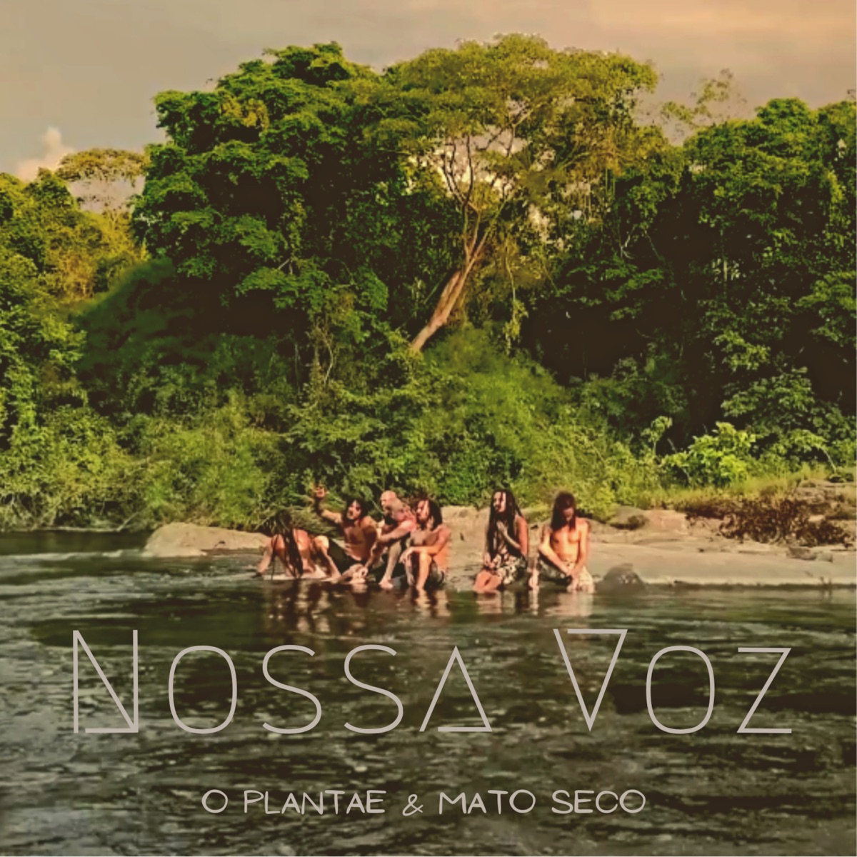 Nossa Voz - Single by O Plantae & Mato Seco album cover