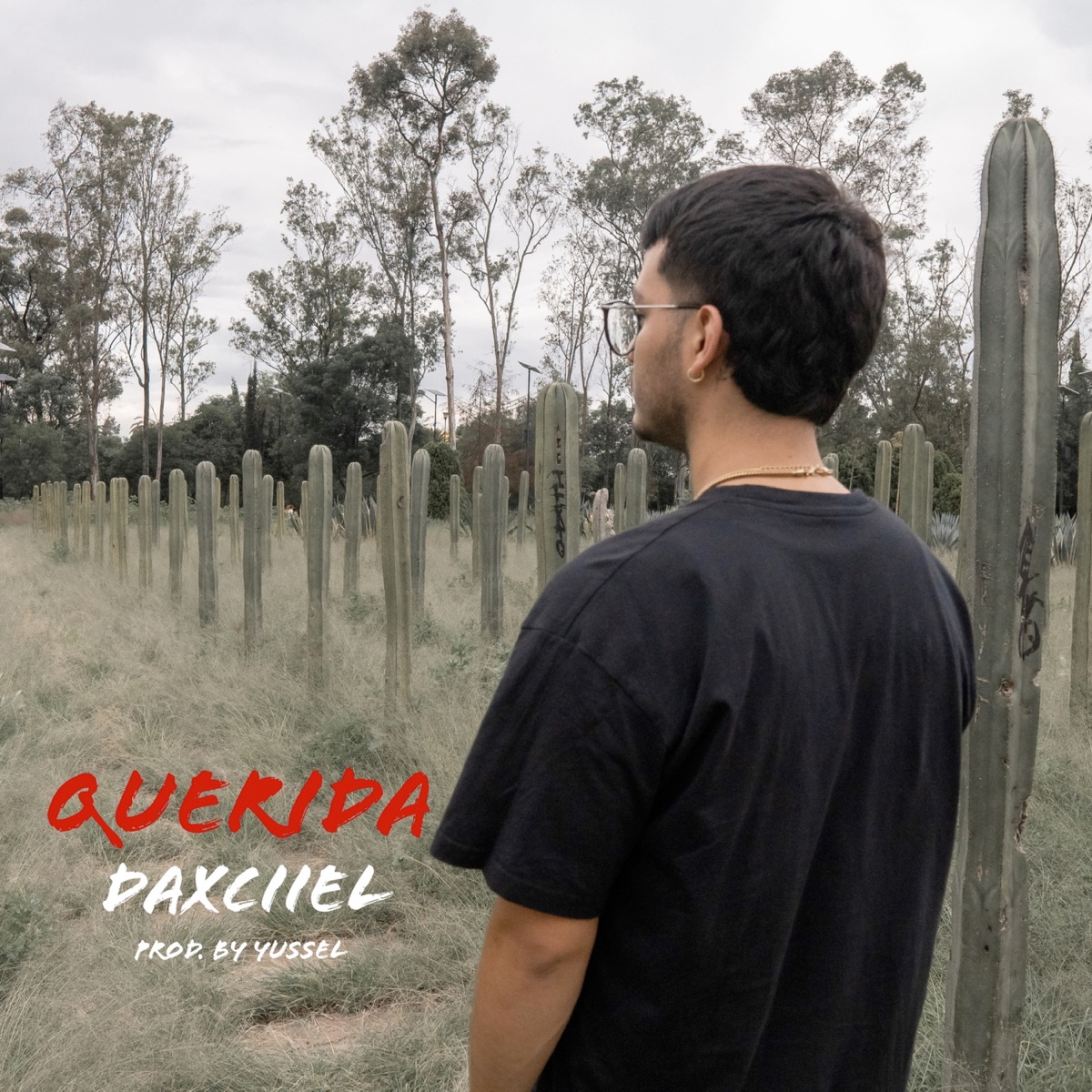 Querida - Single by Daxciiel album cover