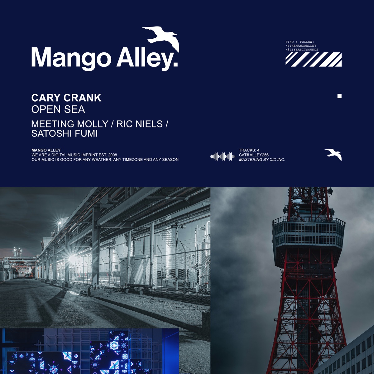 Open Sea by Cary Crank, Meeting Molly & Satoshi Fumi album cover