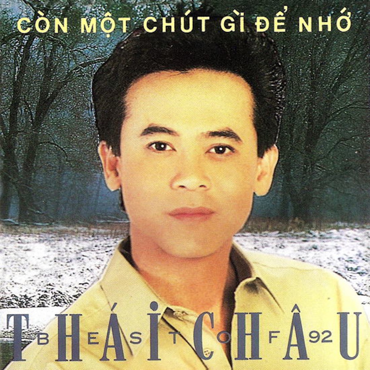 Còn Một Chút Gì Để Nhớ by Thái Châu album cover