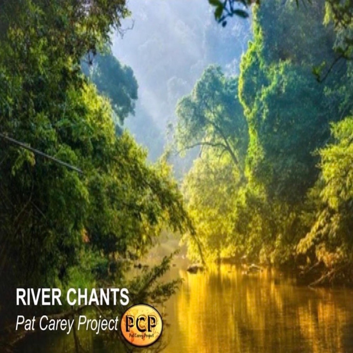 River Chants (feat. Gerry Gibbs) - Single by Pat Carey album cover