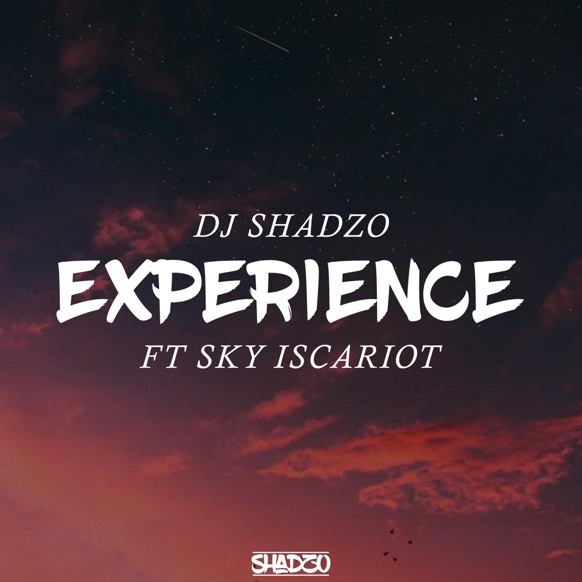 Experience (feat. Sky iscariot) - Single by Dj Shadzo album cover