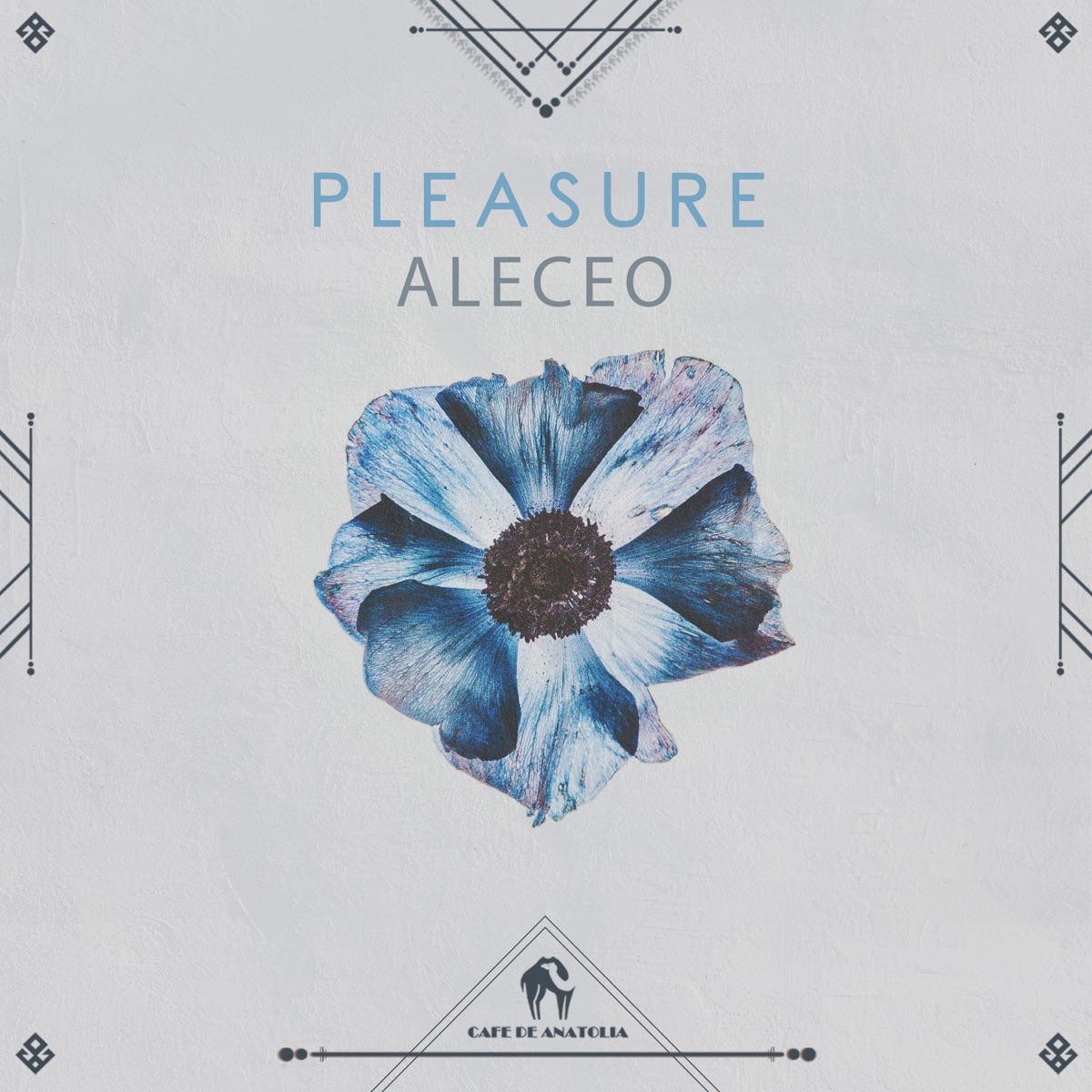 Pleasure - Single by Aleceo, Yuval Babayoff & Daniil Korolev album cover