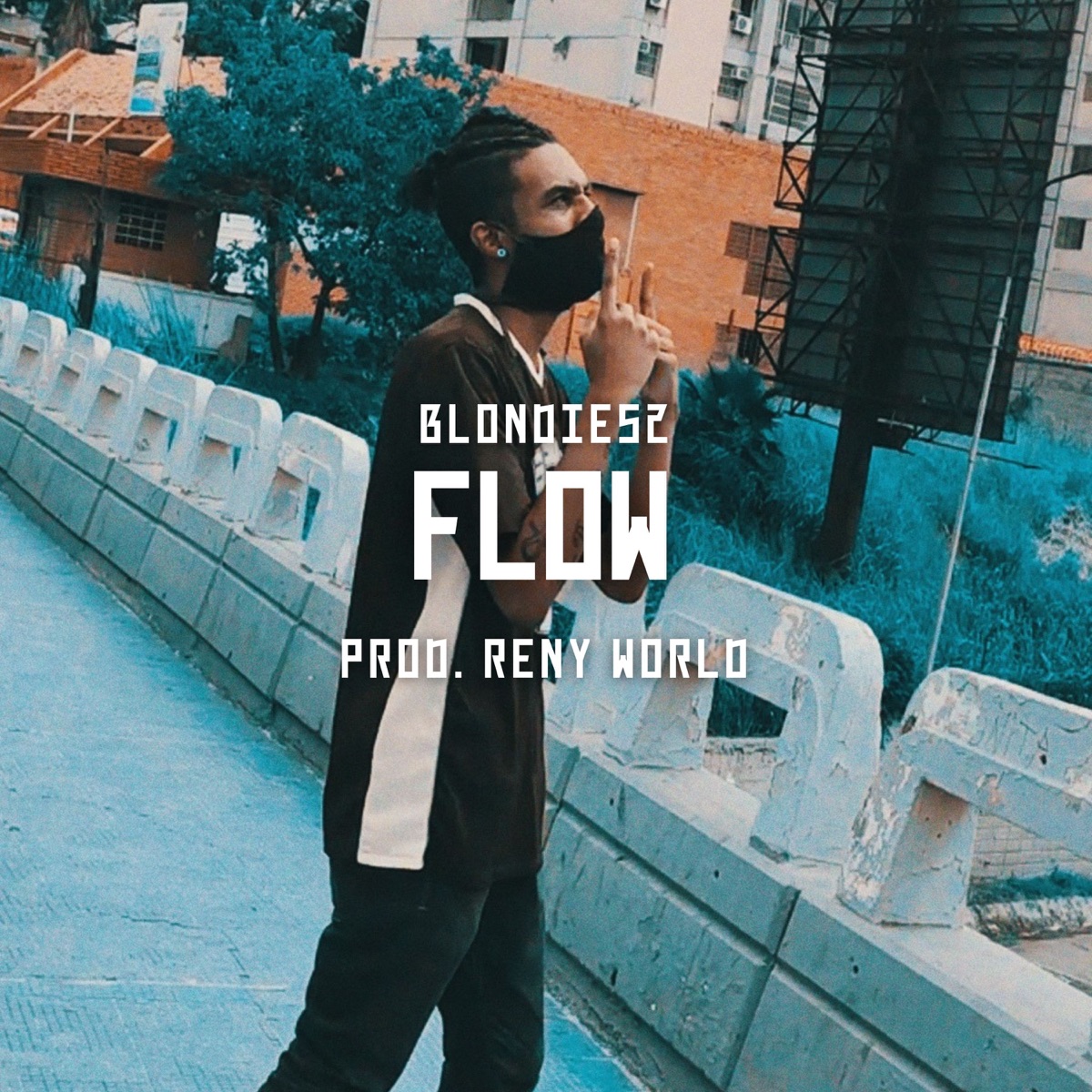 Flow - Single by Blondies2 & Reny World album cover