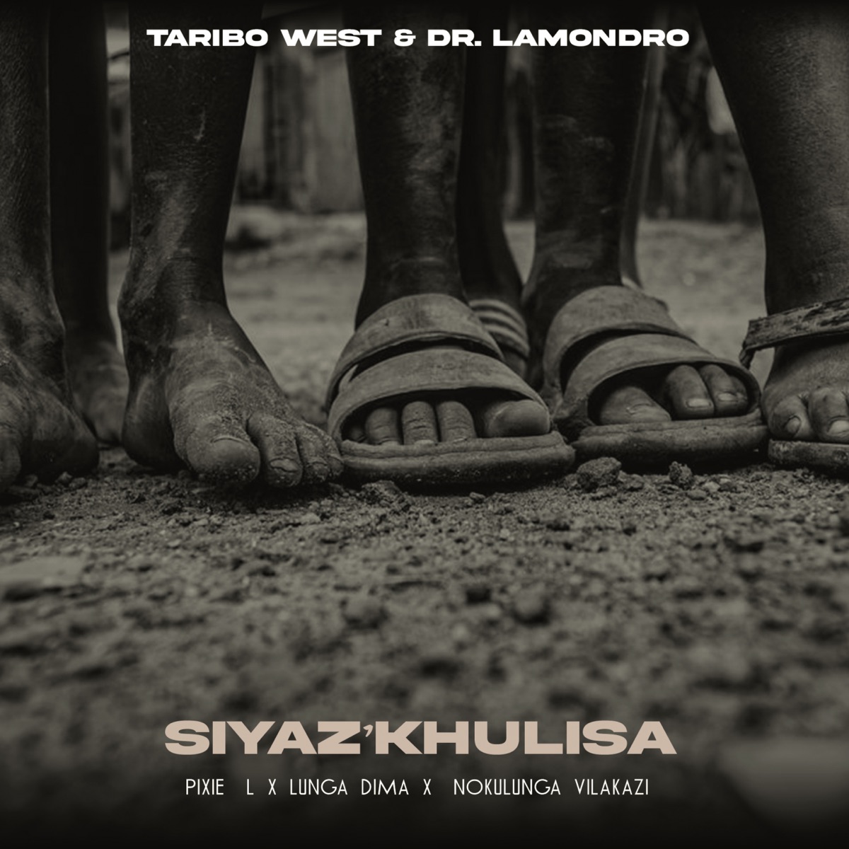 Siyaz'khulisa (feat. Pixie L, Lunga Dima & Nokulunga Vilakazi) - Single by Dr. Lamondro & Taribo West album cover