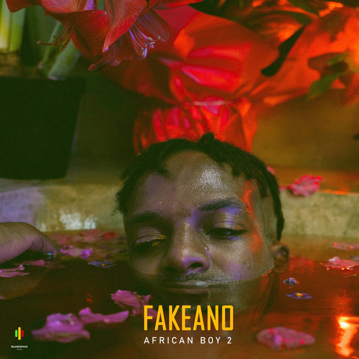 African Boy 2 by FakeAno album cover