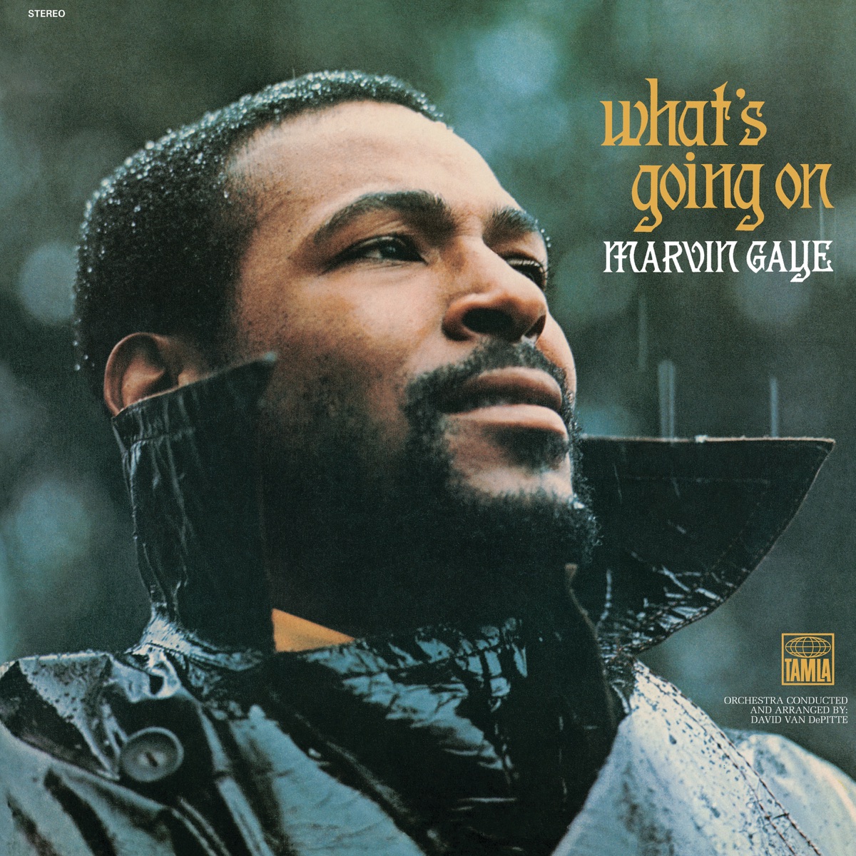 What's Going On by Marvin Gaye album cover artwork