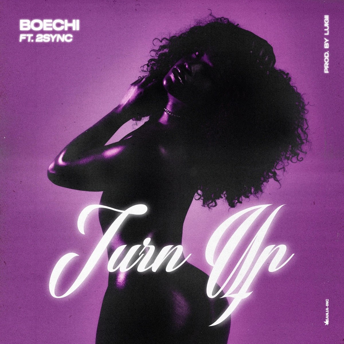 Turn Up (feat. 2sync) - Single by Boechi album cover