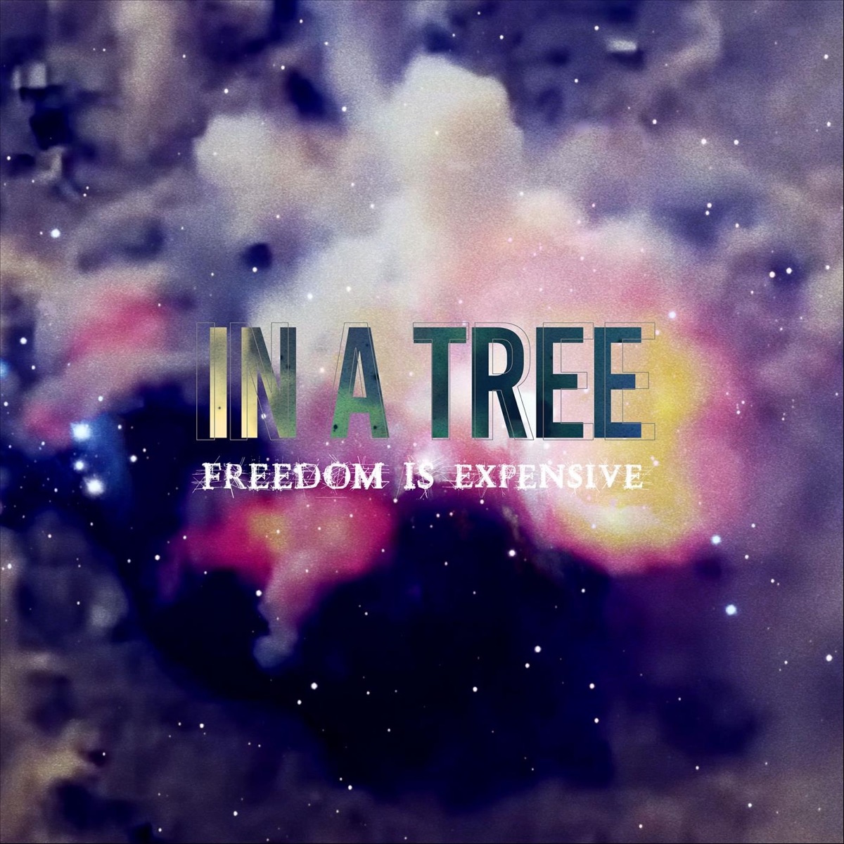 In a Tree - Single by Freedom Is Expensive album cover