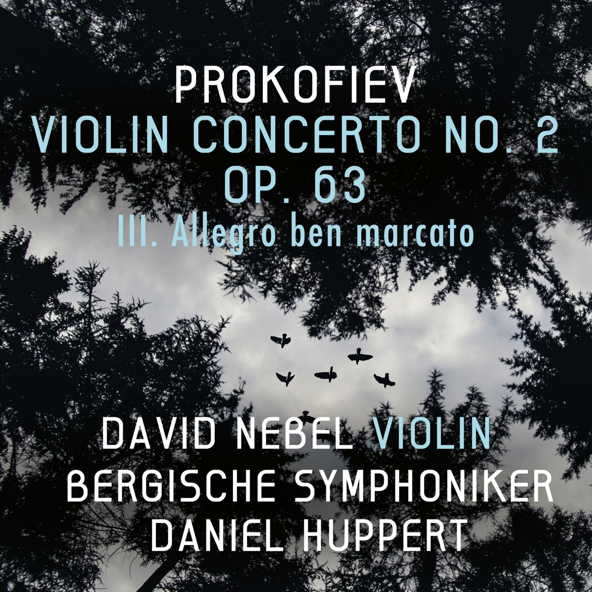 Violin Concerto No. 2 in G Minor, Op. 63: III. Allegro ben marcato - Single by David Nebel, Bergische Symphoniker & Daniel Huppert album cover