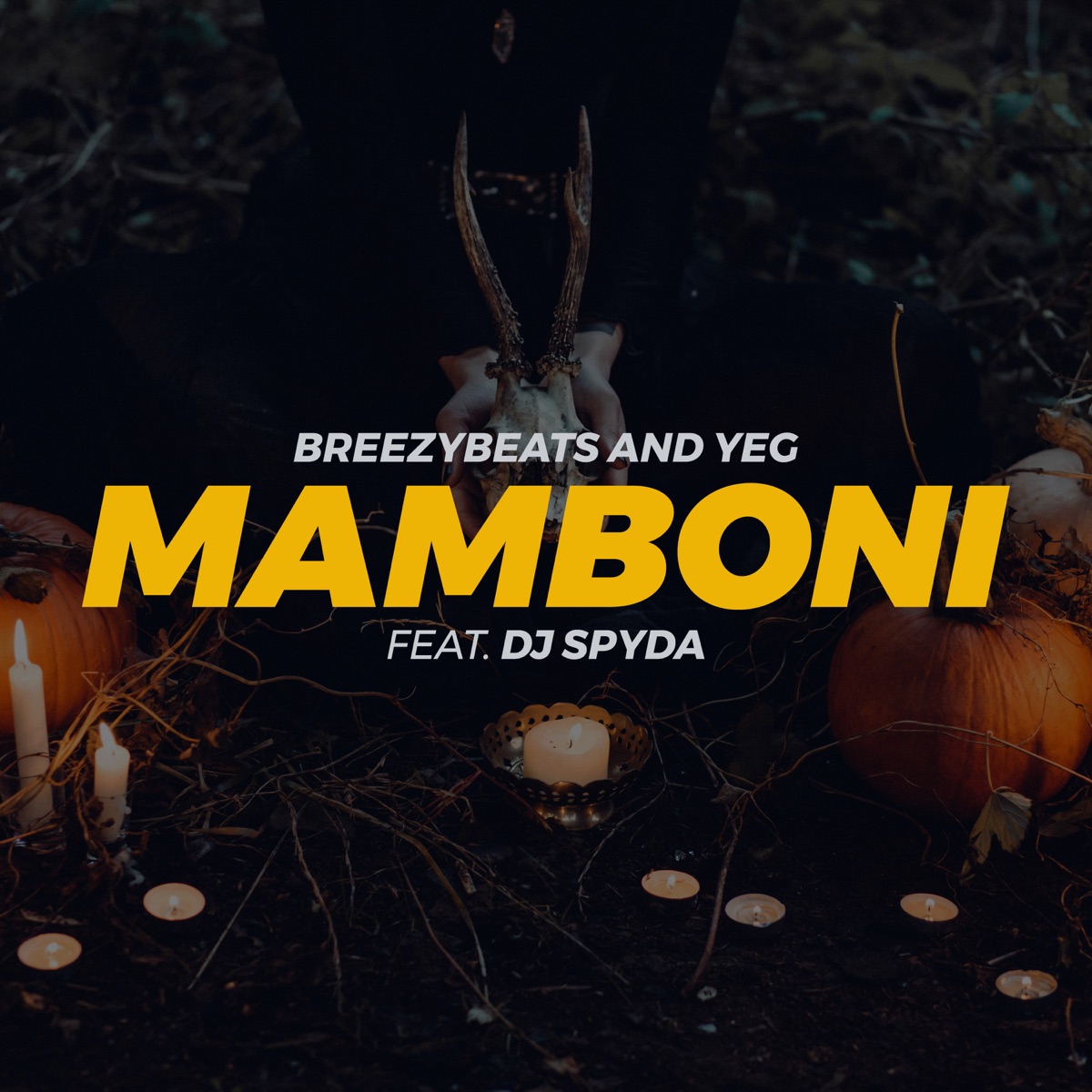 Mamboni (feat. Dj Spyda) - Single by Breezybeats & Yeg album cover