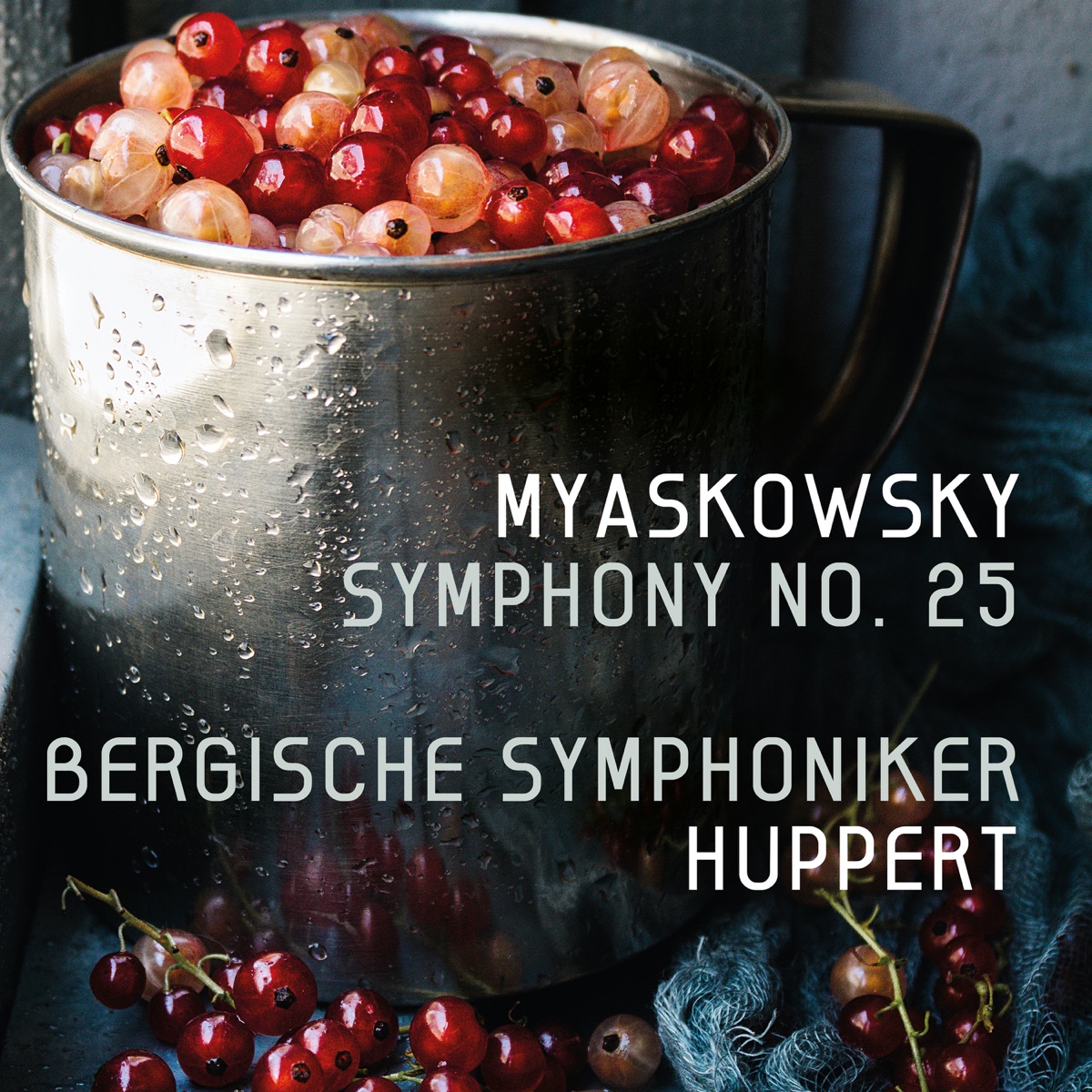 Myaskovsky: Symphony No. 25 in D-Flat Major, Op. 69 by Bergische Symphoniker & Daniel Huppert album cover