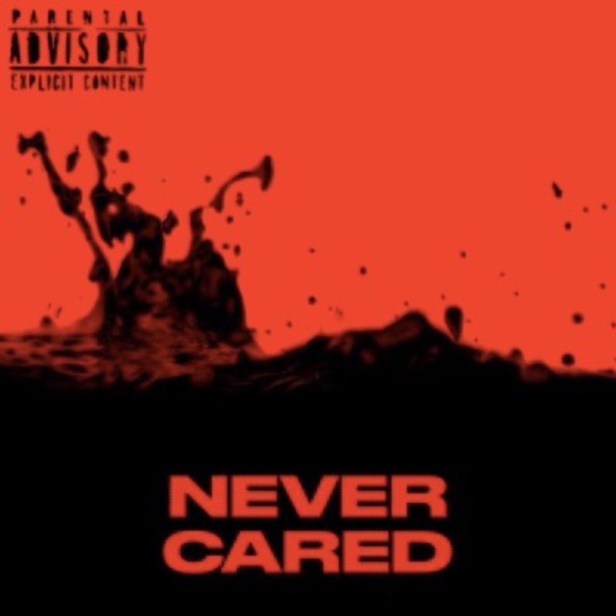 Never Cared (Nirvanaxmix) - Single by NIRVANAXJAY album cover