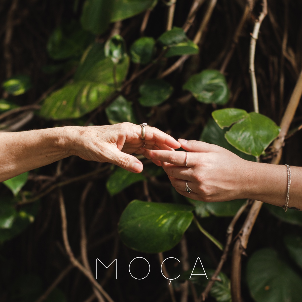 Moça - Single by Limão Capeta, Pri Glenda, Natália Sandim & Luiza Lara album cover
