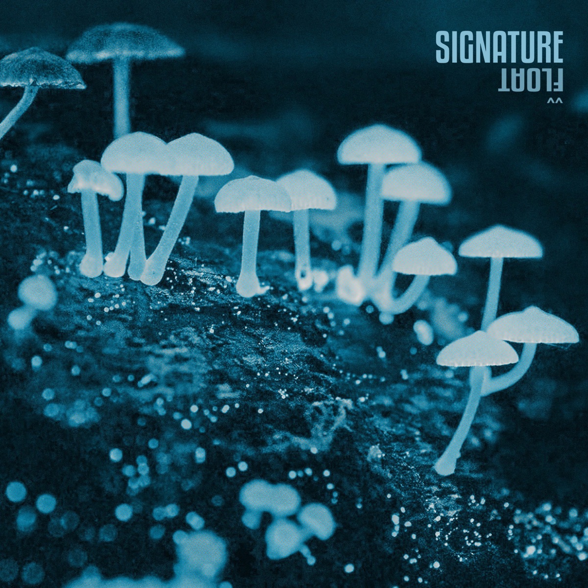 Float - Single by Signature album cover