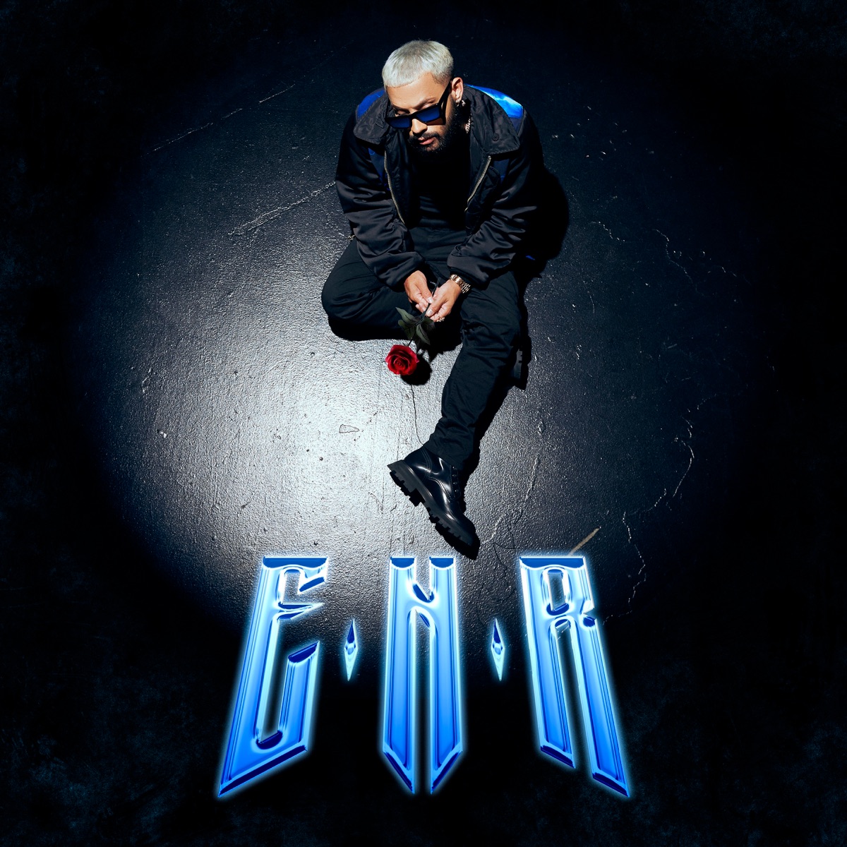 ENR by Alex Rose album cover
