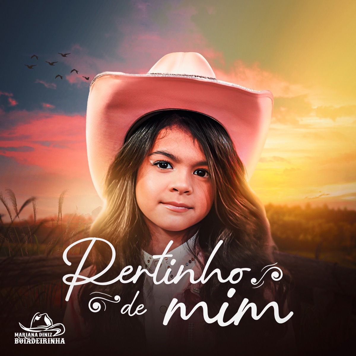 Pertinho de Mim - Single by Mariana Diniz Boiadeirinha album cover