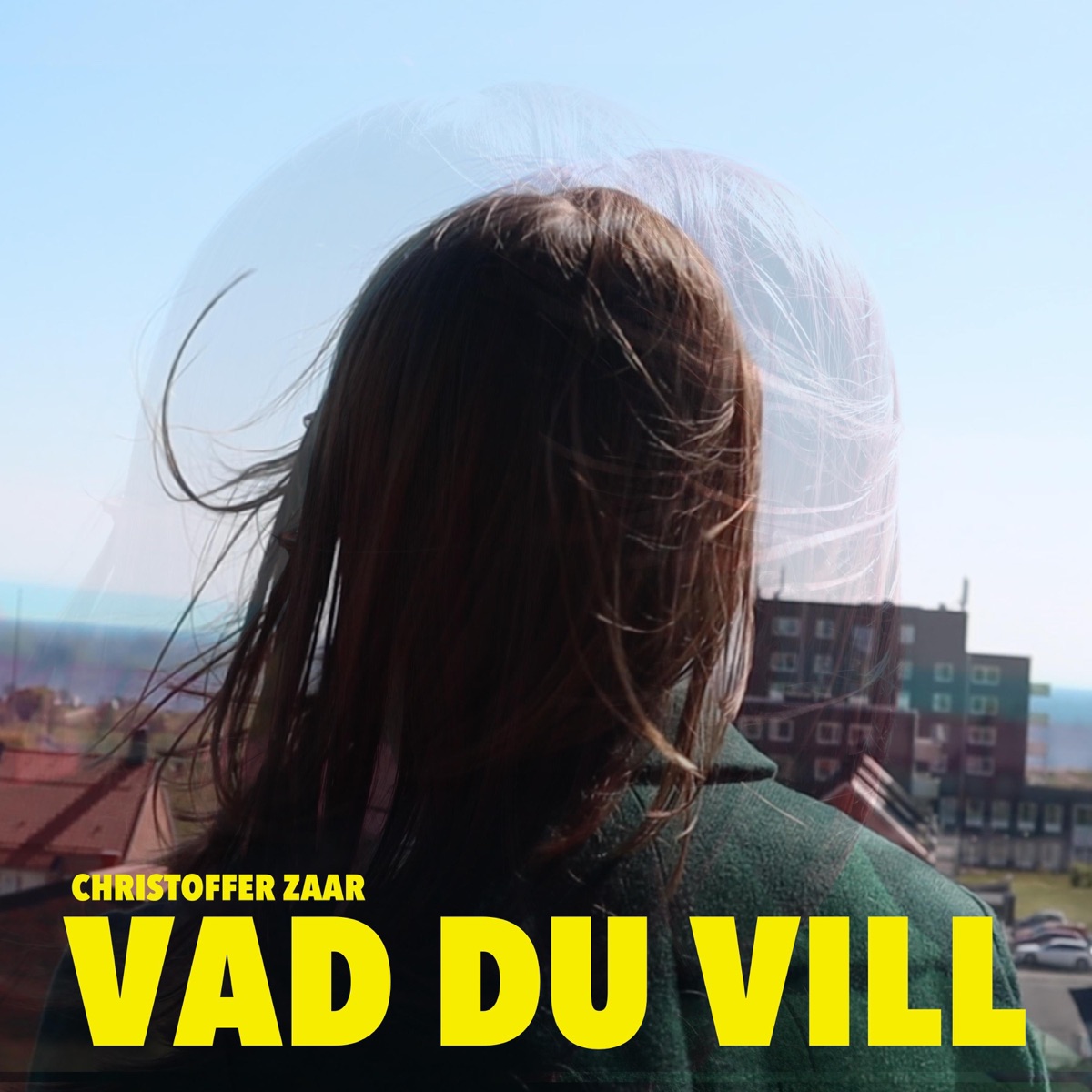 Vad du vill - Single by Christoffer Zaar album cover