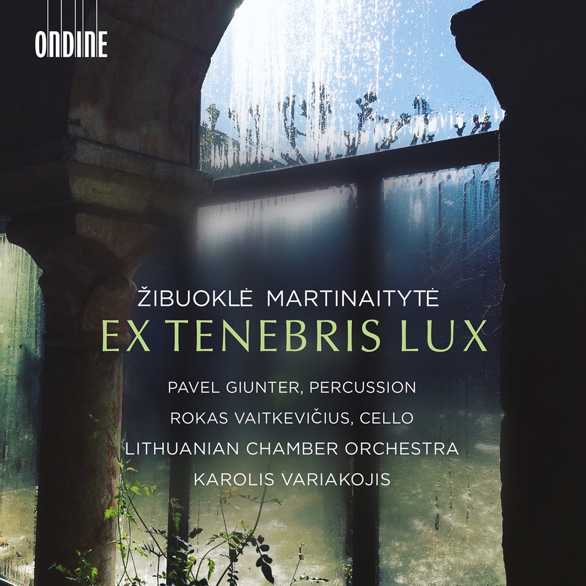 Žibuoklė Martinaitytė: Ex tenebris lux by Rokas Vaitkevičius, Pavel Giunter, Lithuanian Chamber Orchestra & Karolis Variakojis album cover