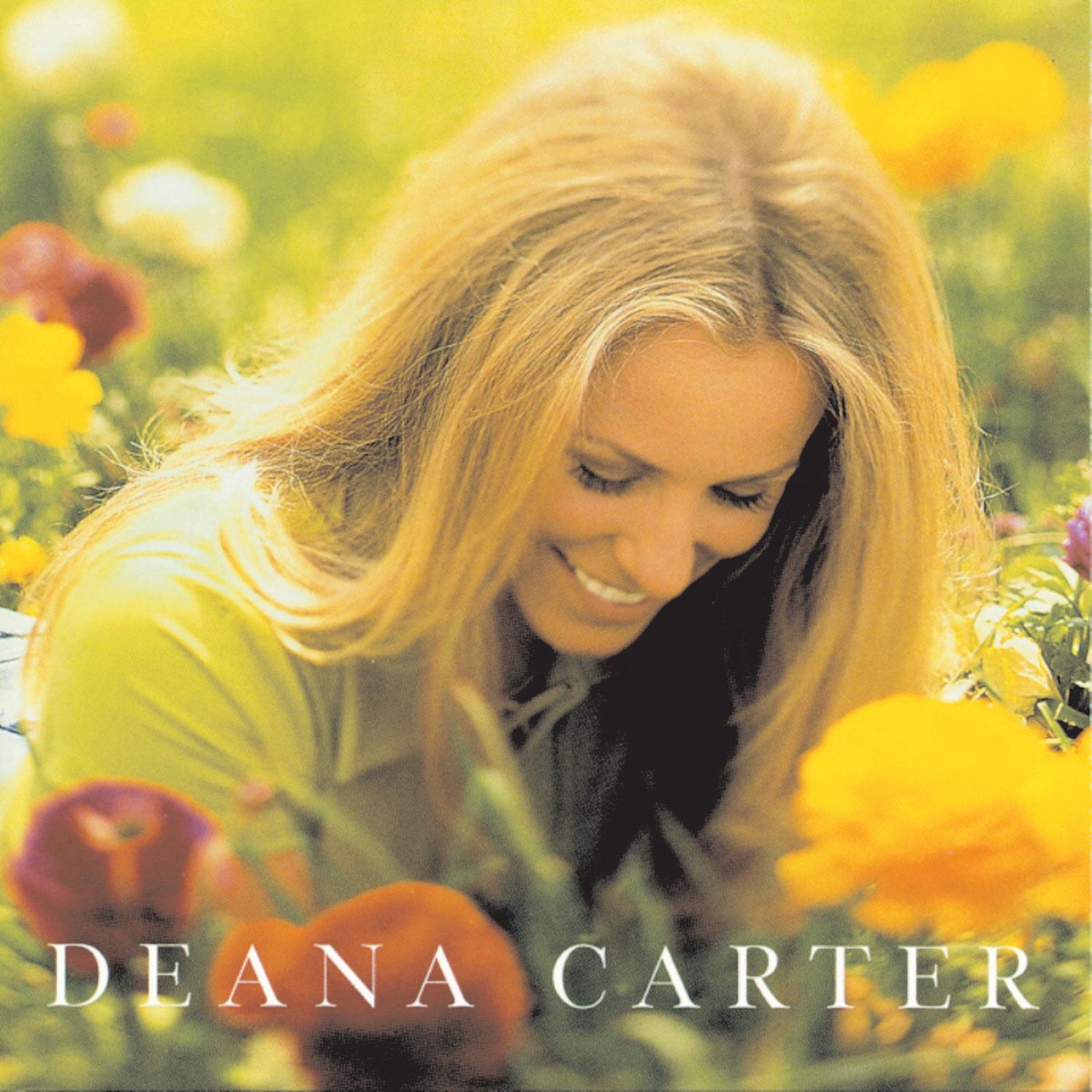 Did I Shave My Legs for This? by Deana Carter album cover