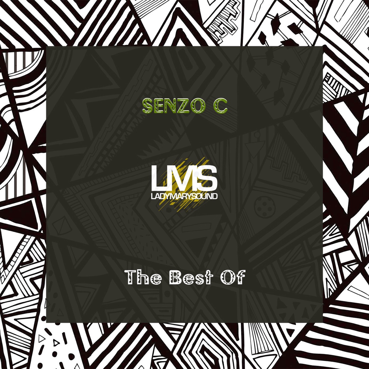 The Best of Senzo C by Senzo C album cover