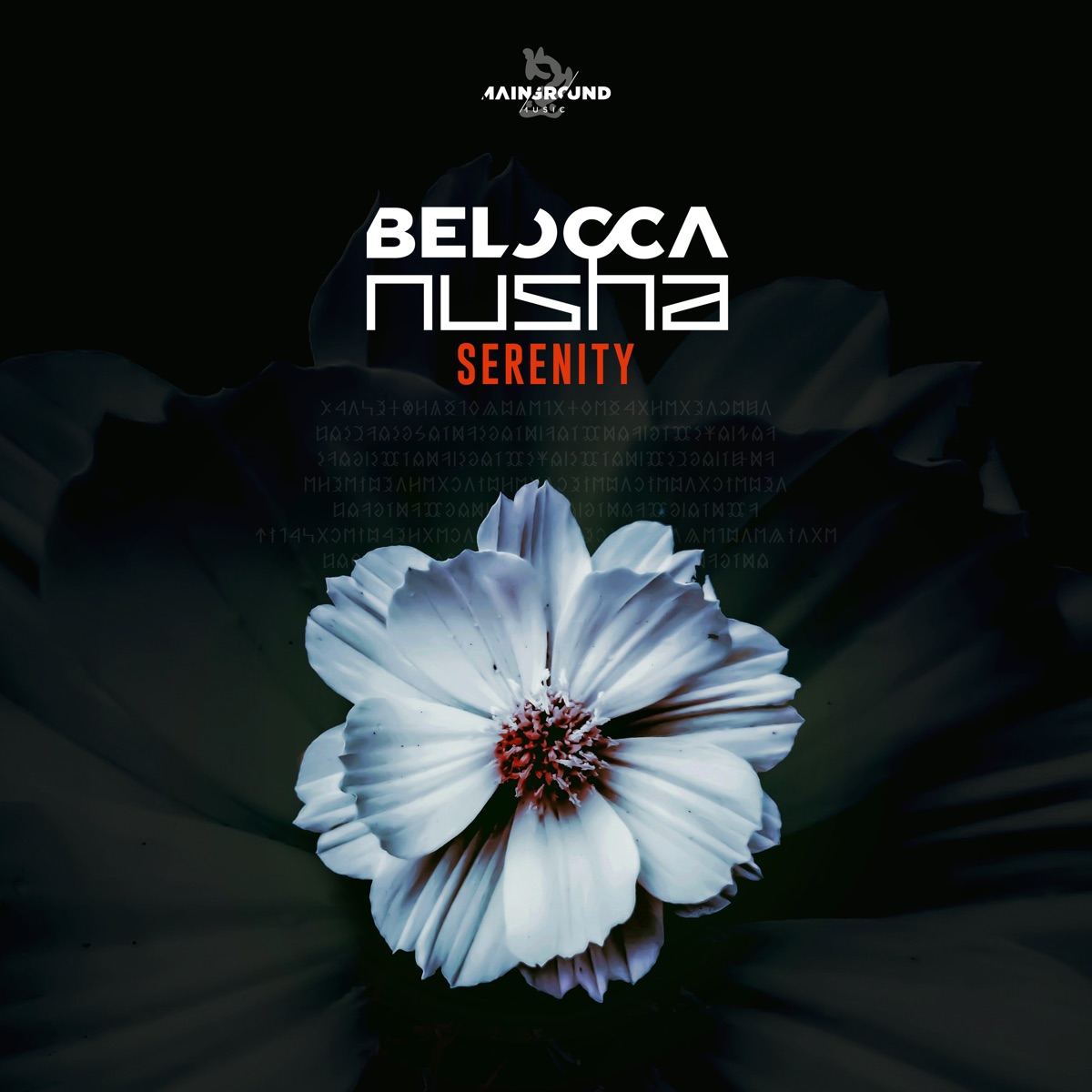 Serenity - Single by Belocca & Nusha album cover