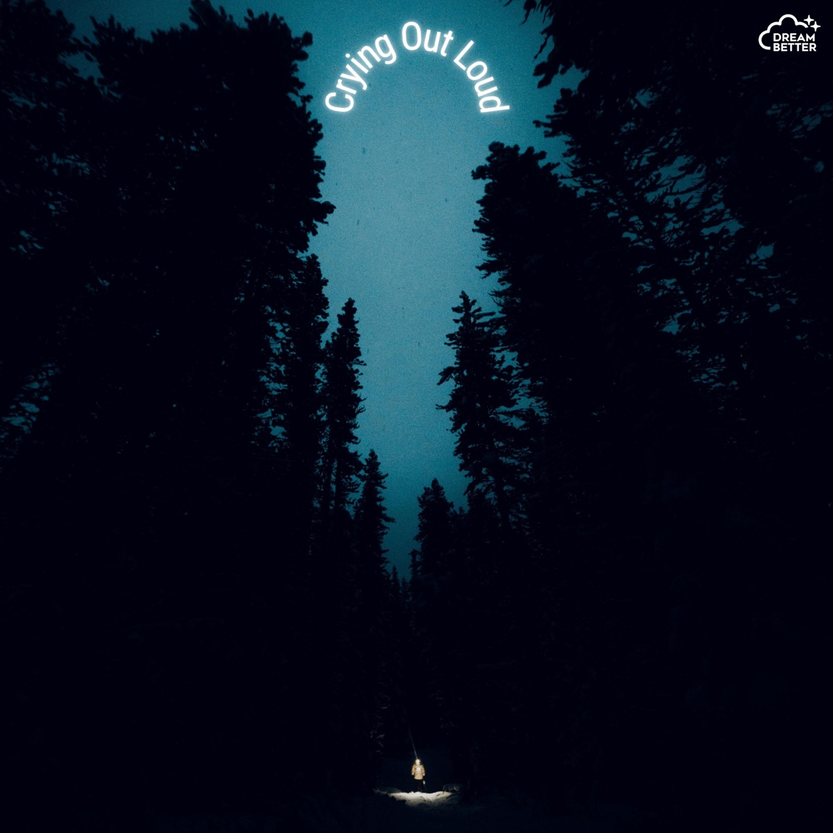 Crying Out Loud - Single by Lost Name album cover