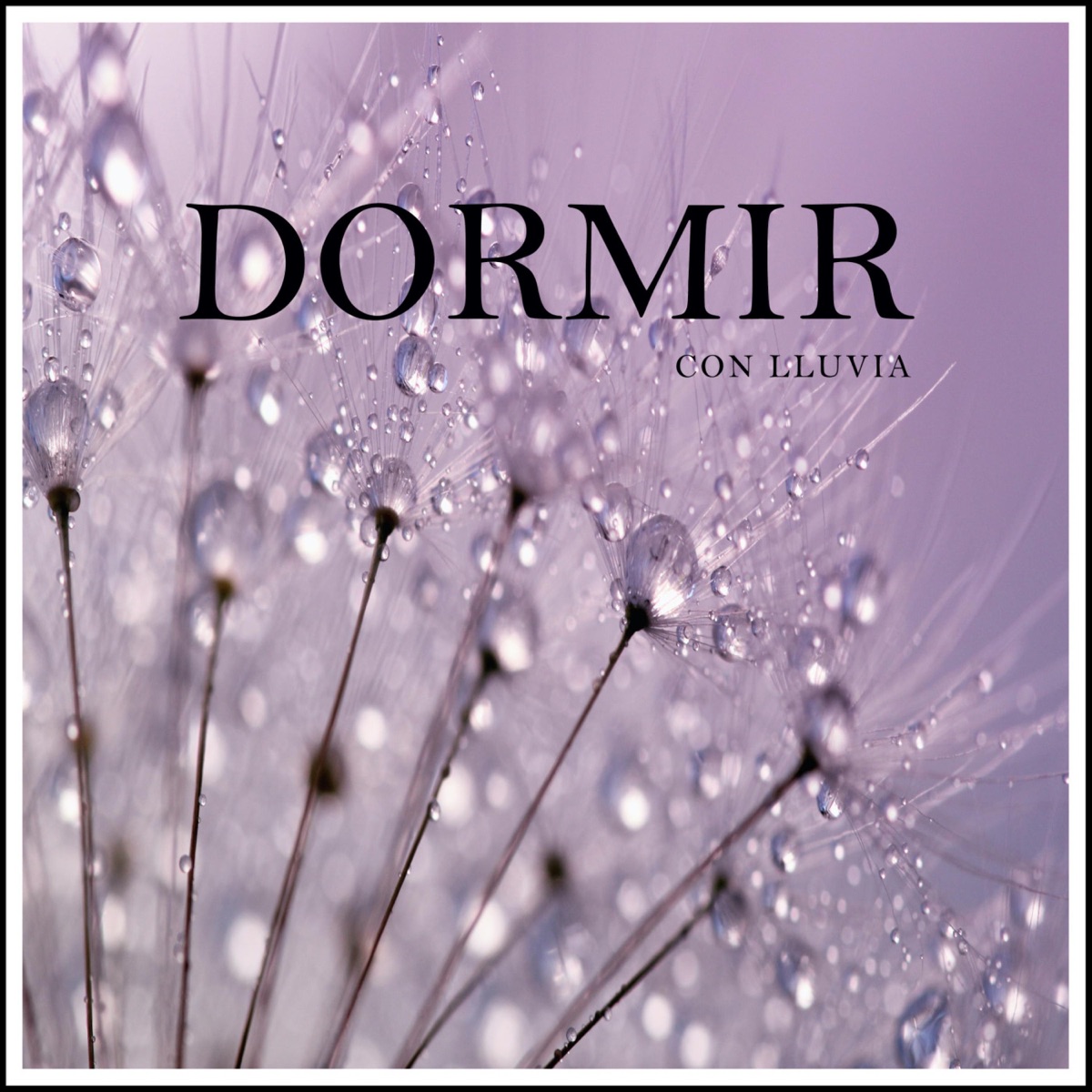 Dormir con Lluvia by Música Para Dormir bebés & Sleep Sounds of Nature album cover