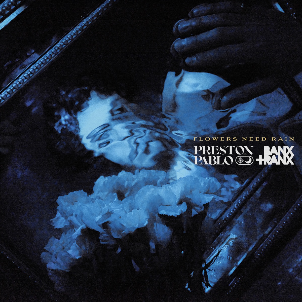 Flowers Need Rain (VIP Remix) - Single by Preston Pablo & Banx & Ranx album cover