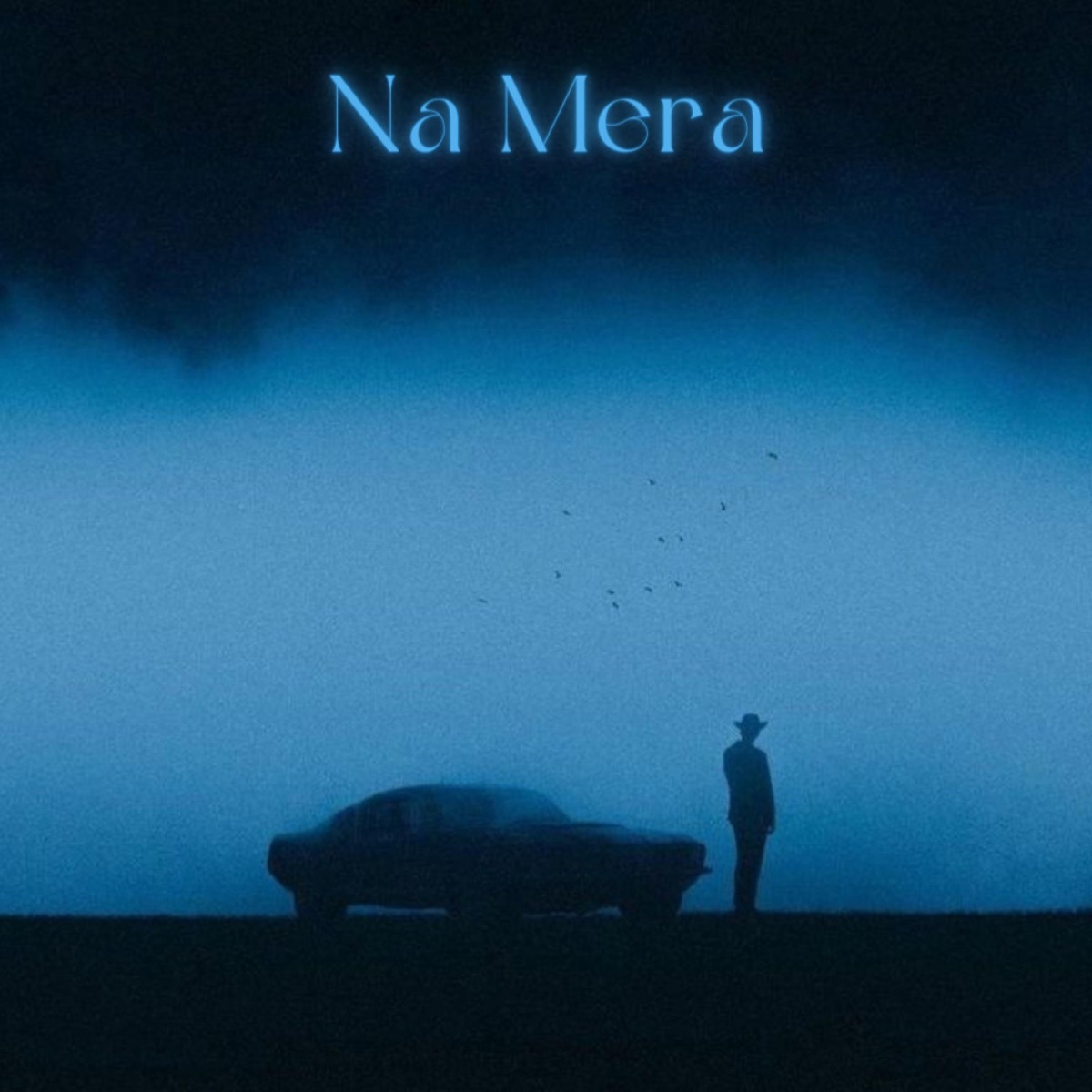 Na Mera - Single by Kingster album cover