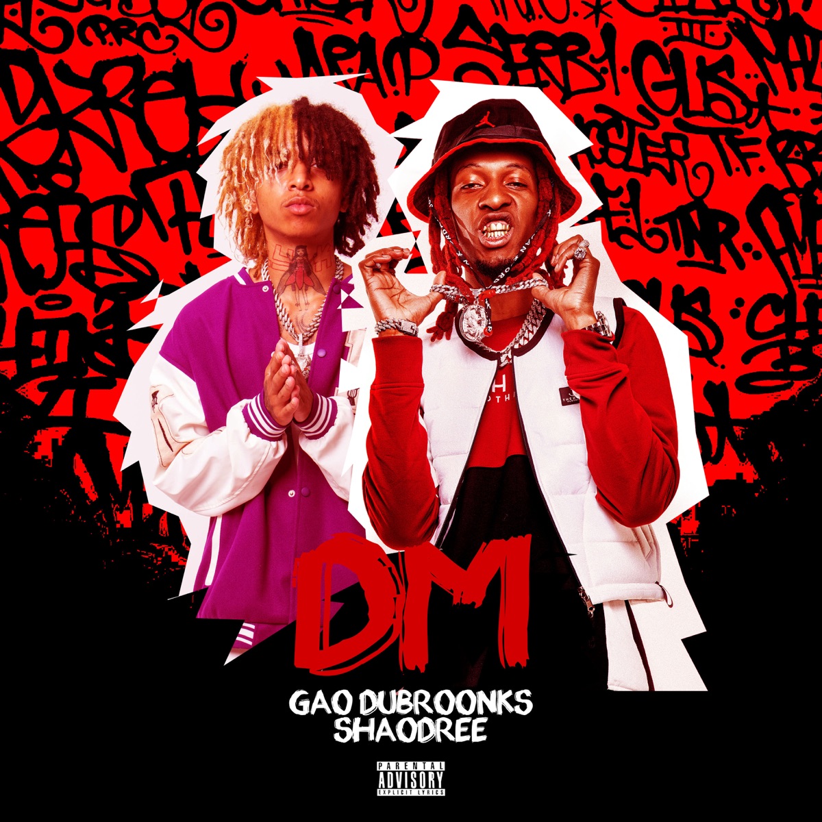 Dm - Single by Gão Dubroonks, Shaodree & Fabulouz Fabz album cover
