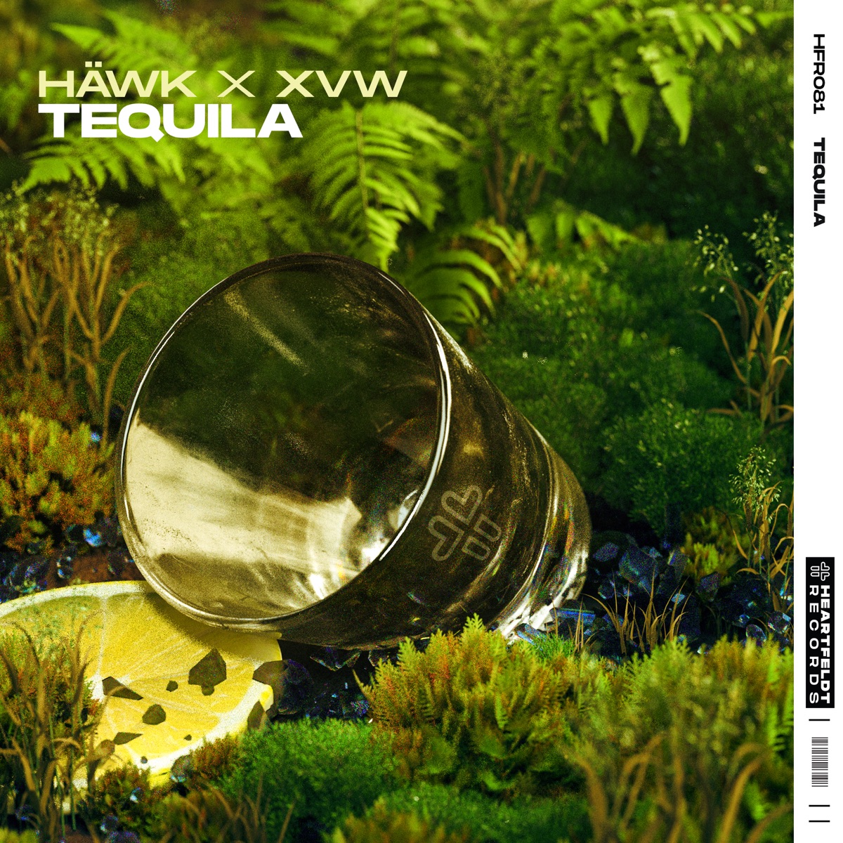 Tequila - Single by HÄWK & Max Niklas album cover