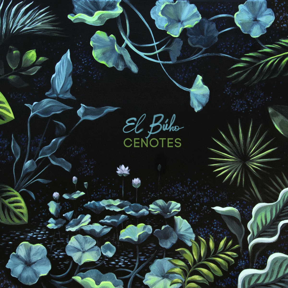 Cenotes (Deluxe Edition) by El Búho album cover