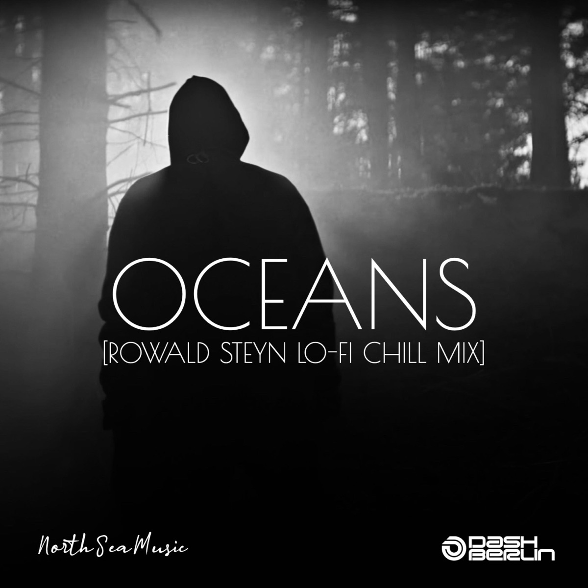 Oceans (Rowald Steyn Lo-Fi Chill Mix) - Single by Dash Berlin & Rowald Steyn album cover