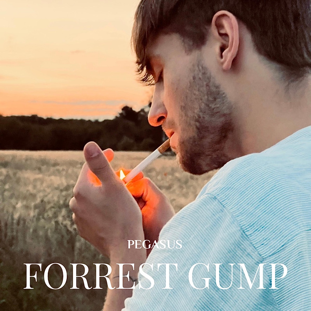 Forrest Gump - Single by Pegasus album cover