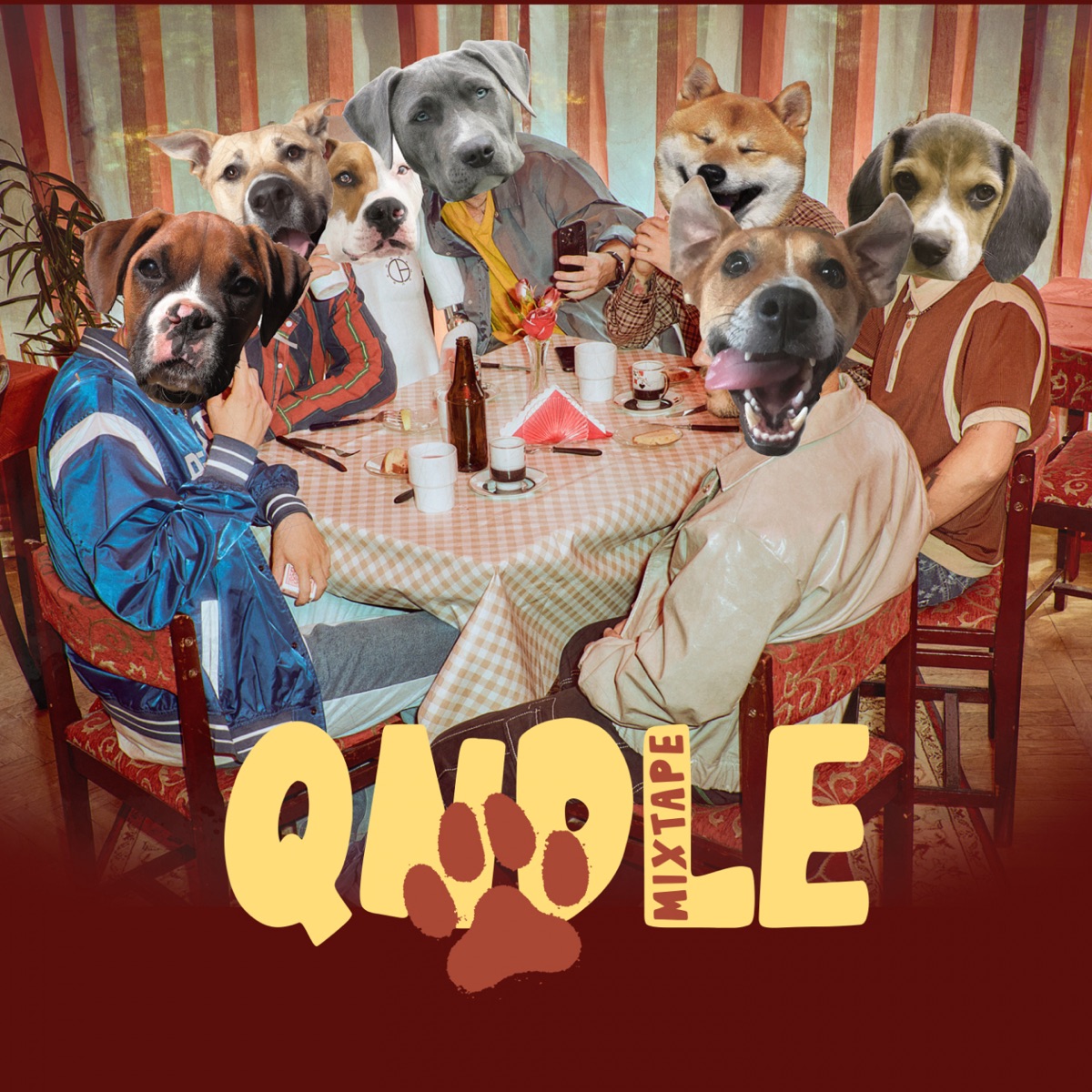QNDLE (Mixtape) by QueQuality album cover