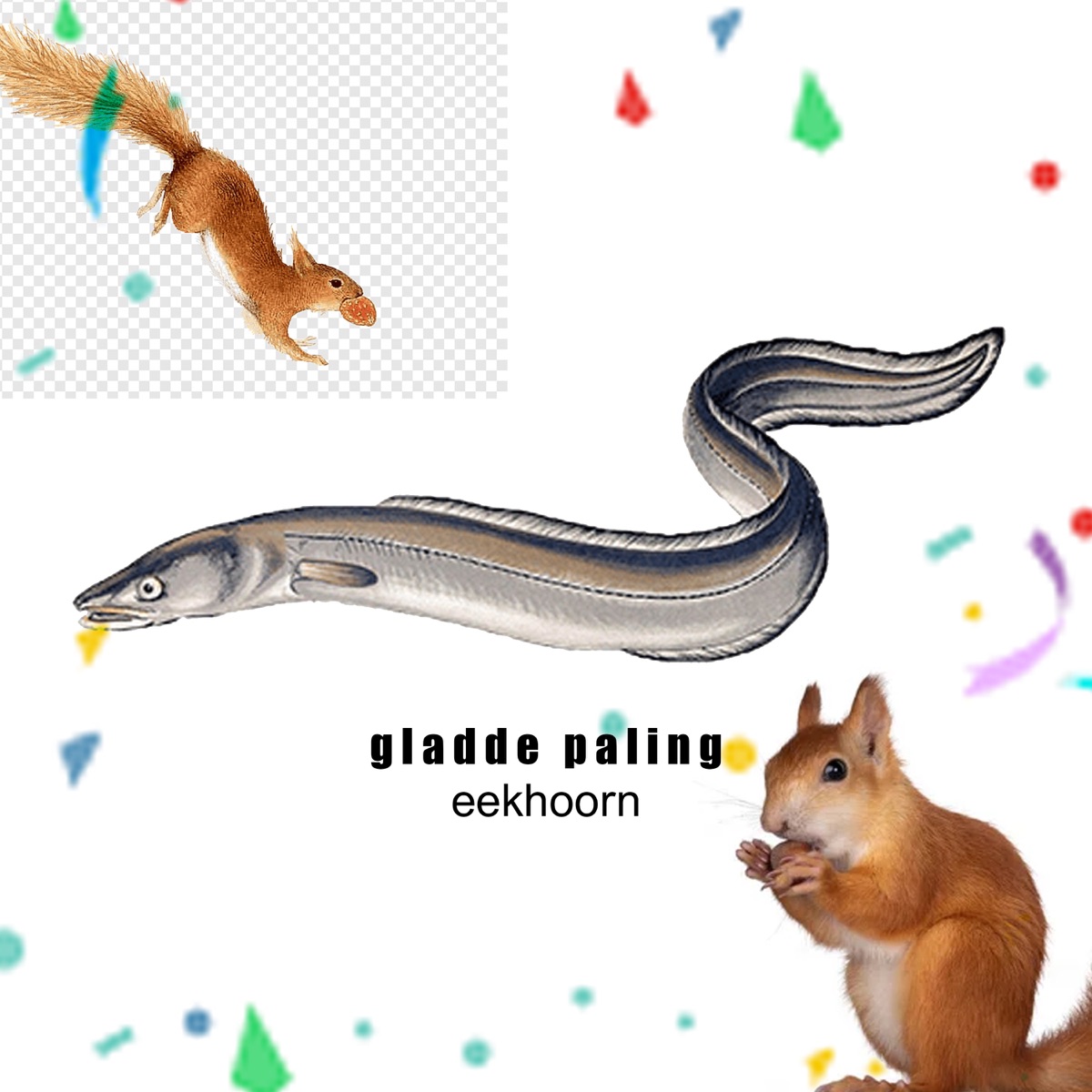 Eekhoorn - Single by gladde paling album cover