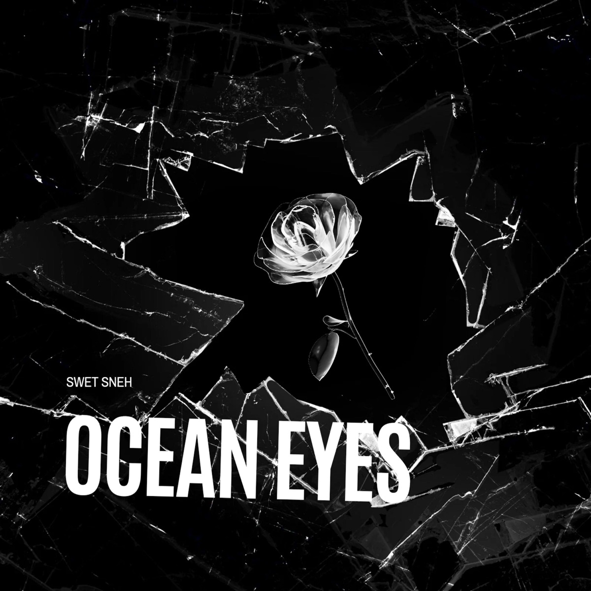 Ocean Eyes - Single by SEXANDRUNK & Naresh Narayan album cover