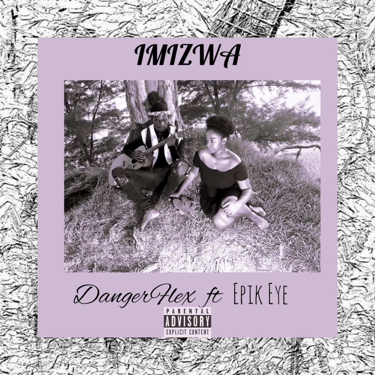 Imizwa - Single by Dangerflex album cover