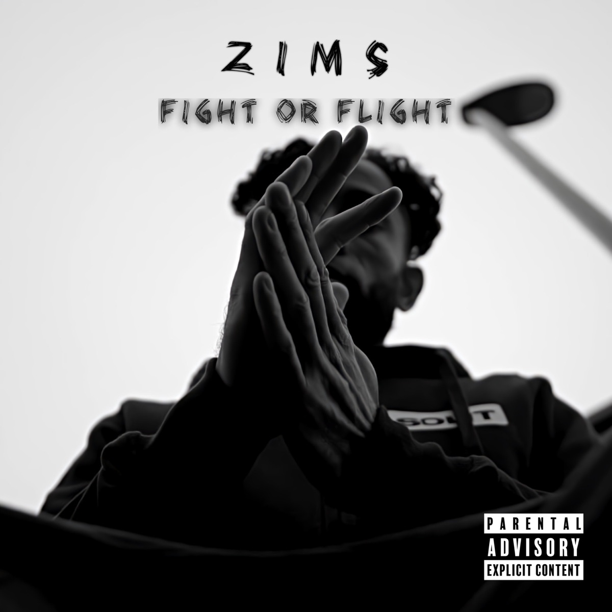 Fight or Flight - Single by Zims album cover