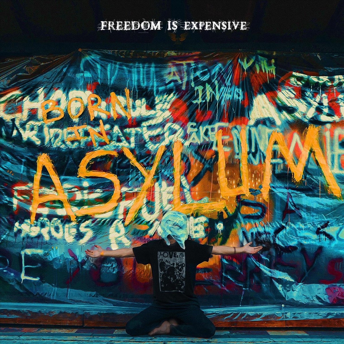 Born in Asylum - Single by Freedom Is Expensive album cover