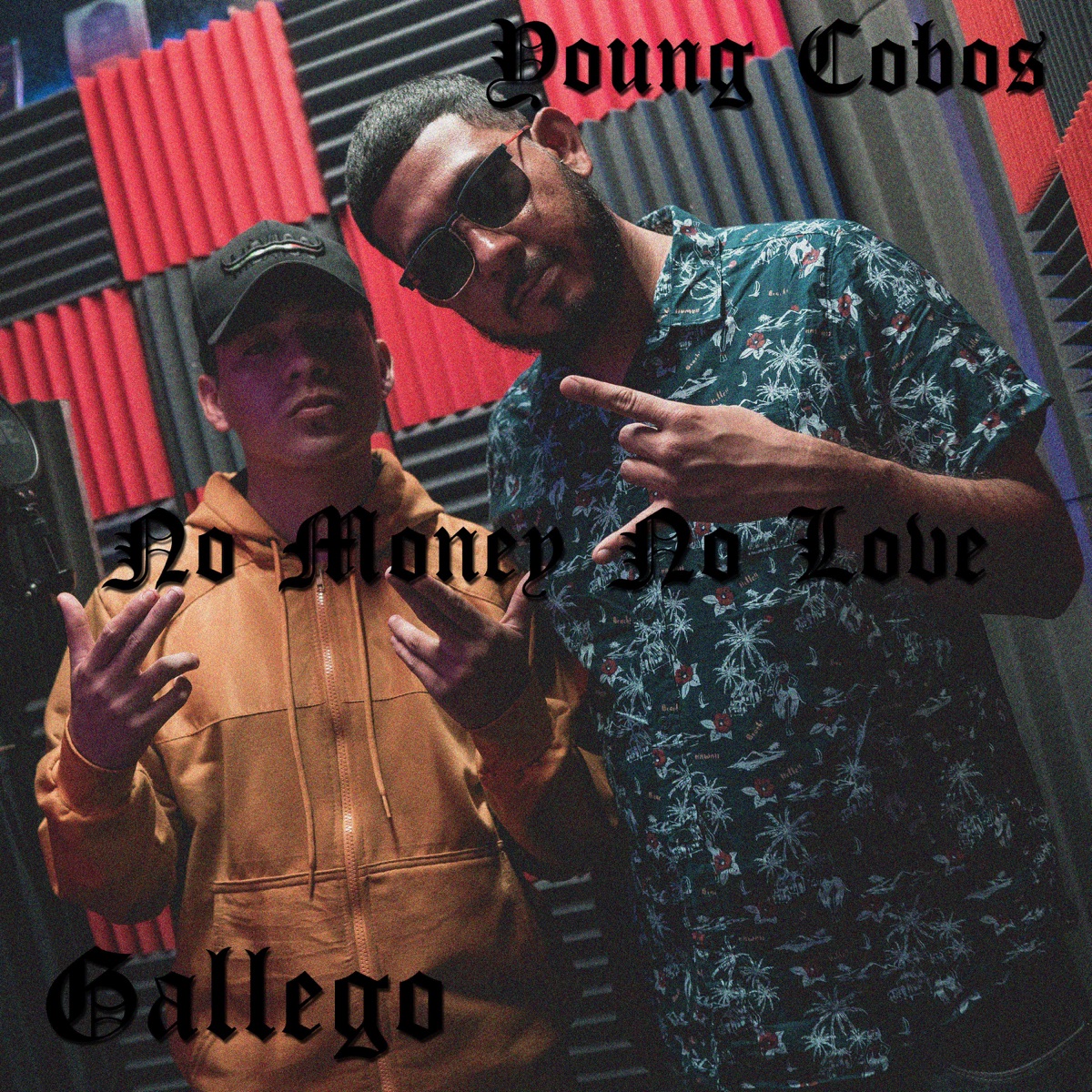 No Money No Love - Single by Gallego & Young Cobos album cover