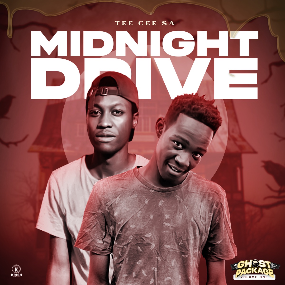 Midnight Drive - Single by Tee Cee SA album cover