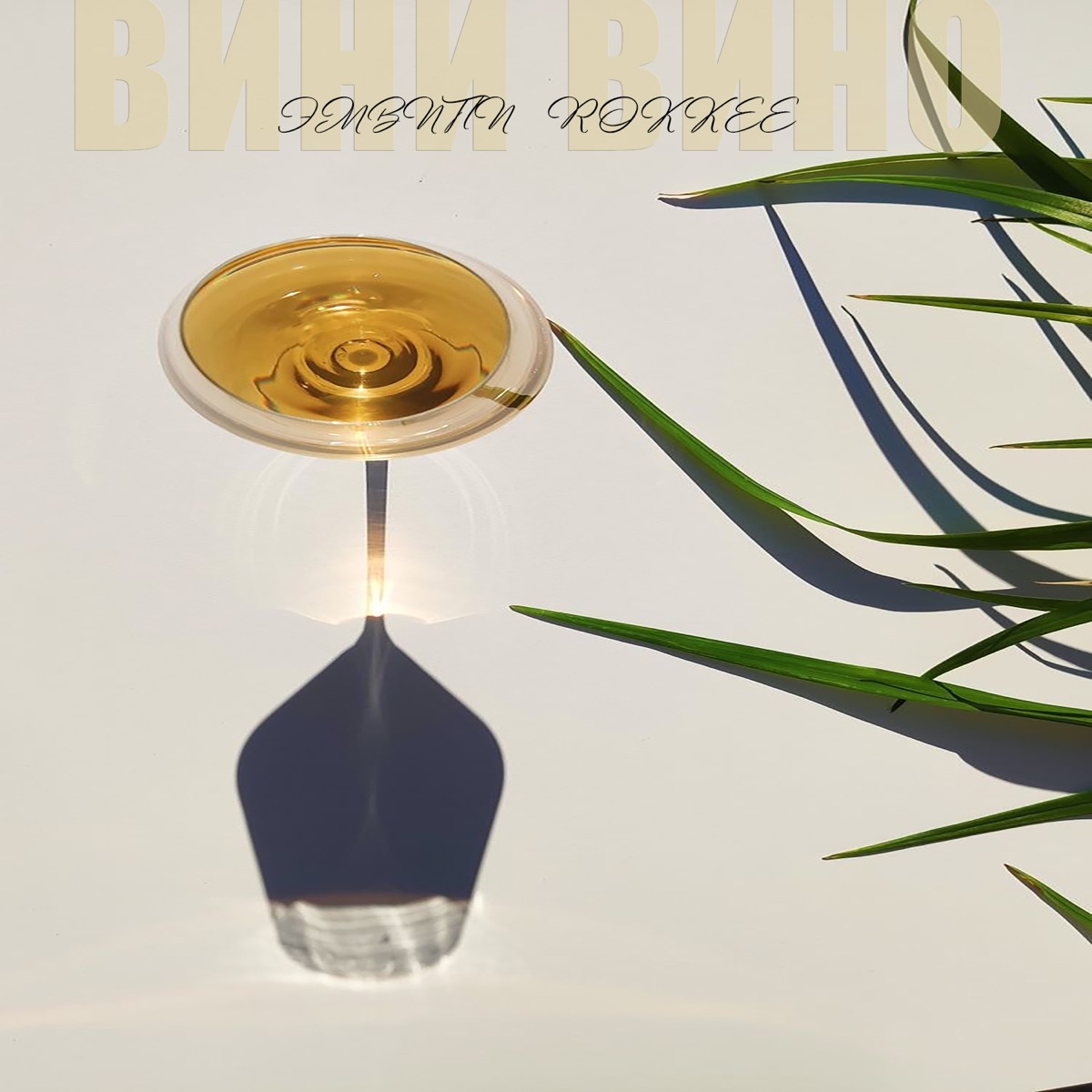 Вини вино - Single by ЭМВИПИ & ROKKEE album cover