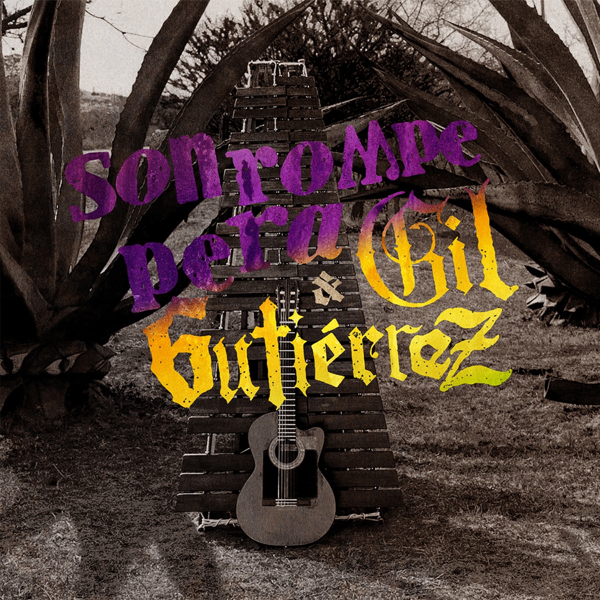 El Saleroso (feat. Gil Gutierrez) - Single by Son Rompe Pera album cover