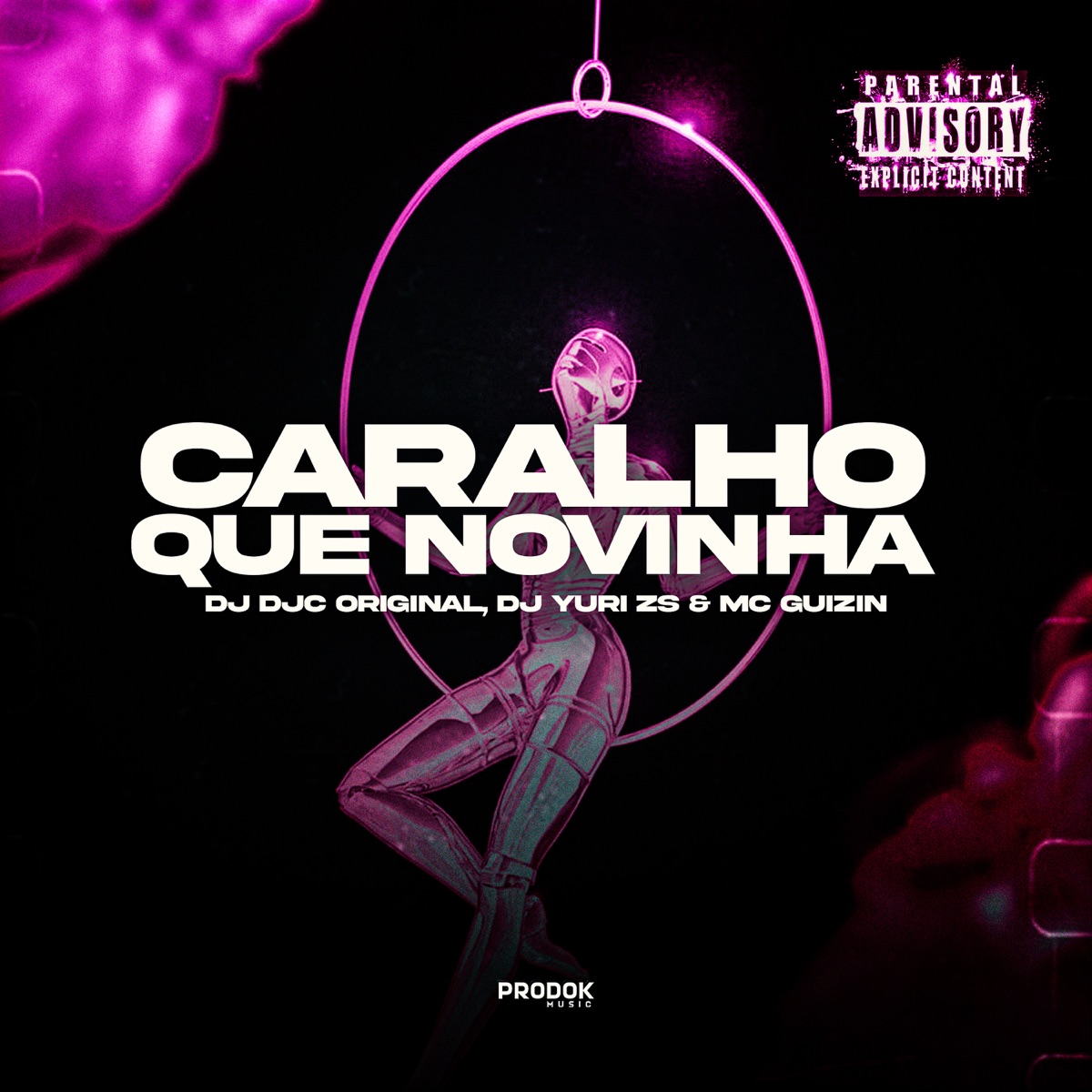 Caralho que Novinha - Single by DJ DJC Original, Mc Guizin & DJ YURI ZS album cover