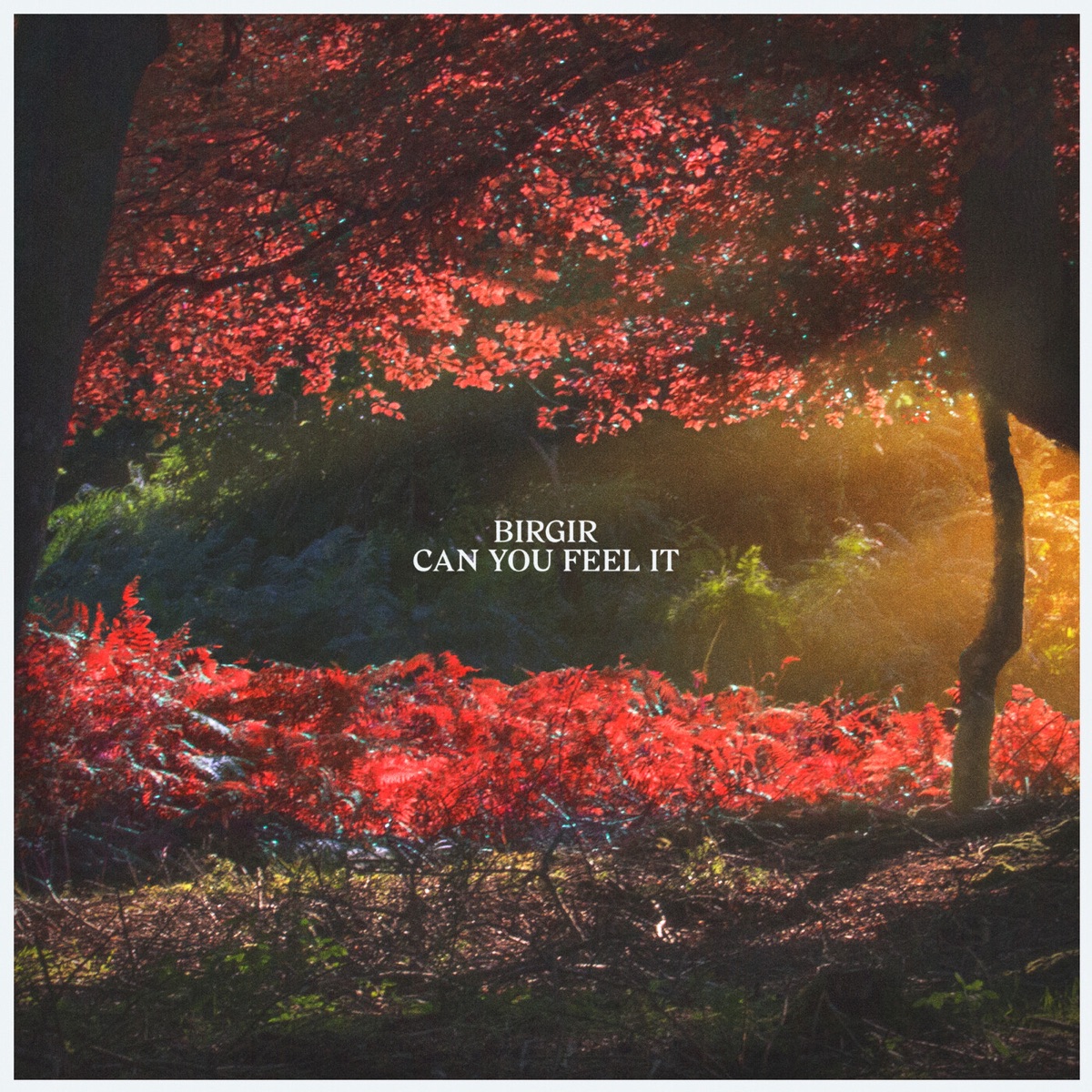 Can You Feel It - Single by Birgir album cover