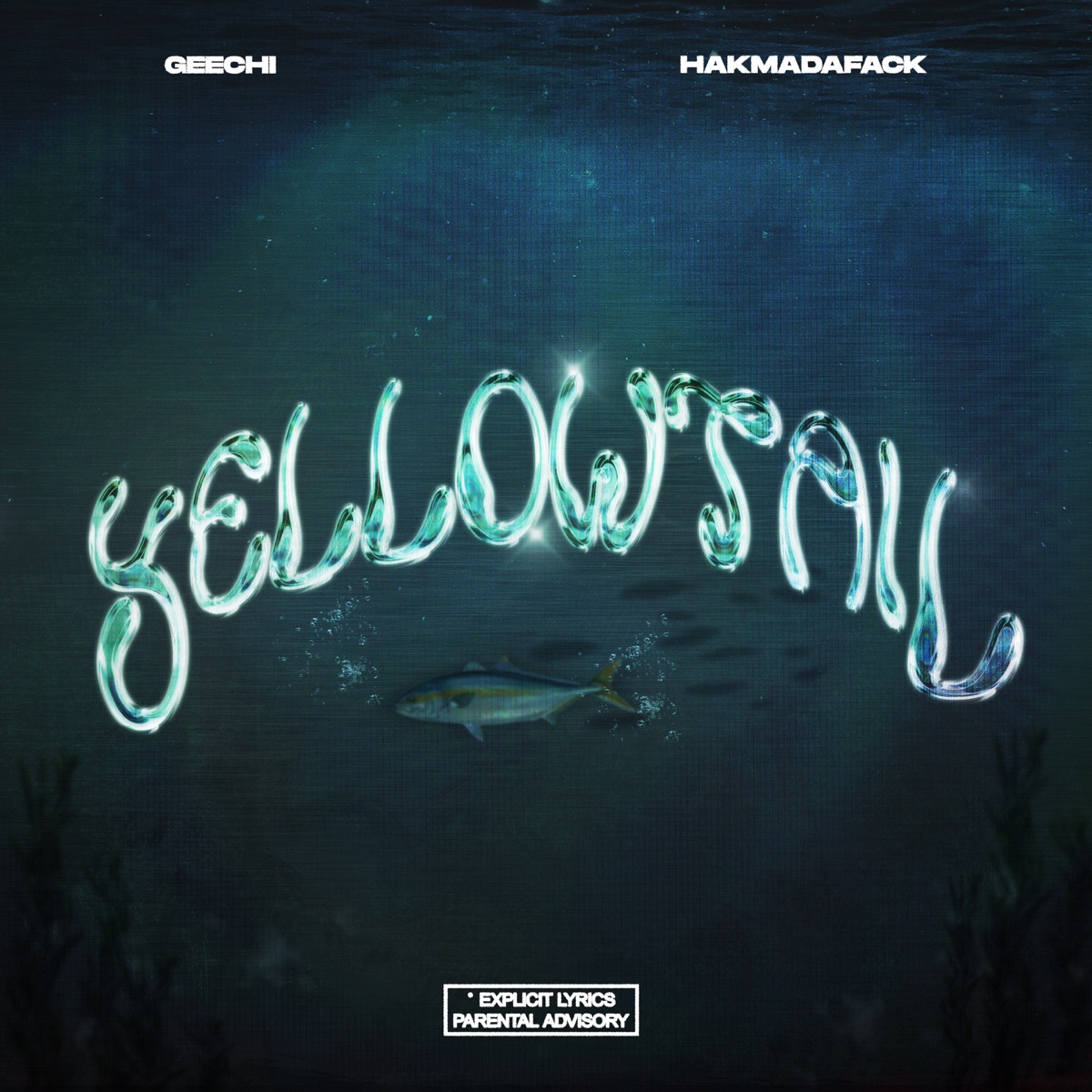 Yellowtail - Single by Geechi & Hakmadafack album cover